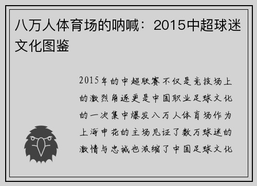 八万人体育场的呐喊:2015中超球迷文化图鉴